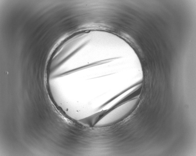 X0000065261188200603172222