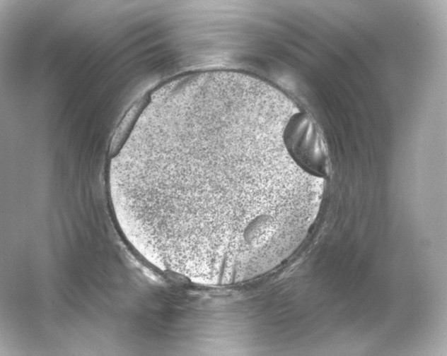 X0000065261189200603172222