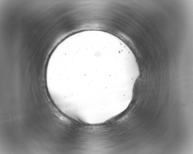 X0000065261192200603172222