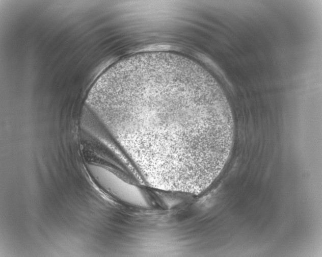 X0000065261193200603172222