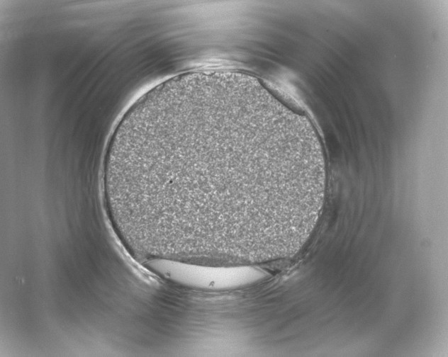 X0000065261195200603172222