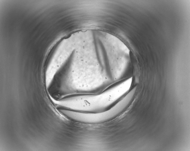 X0000065261196200603172222