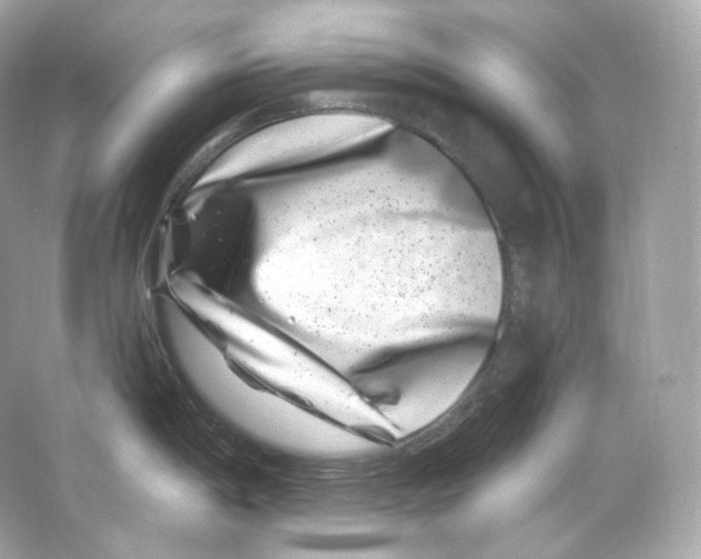 X0000065261198200603172222