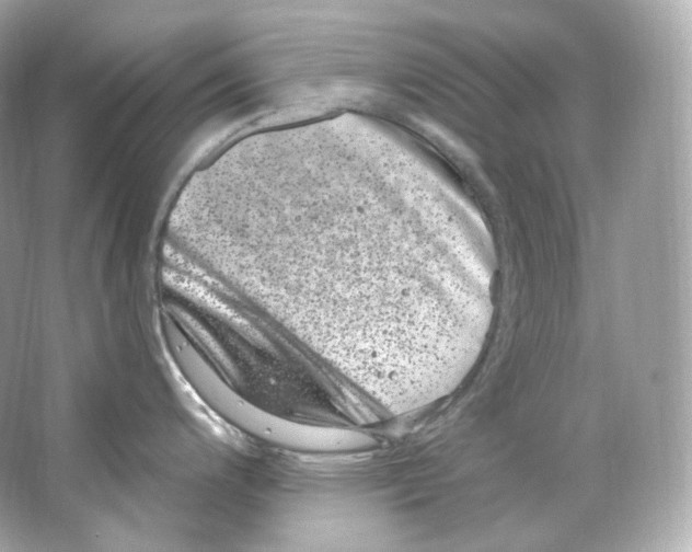 X0000065261200200603172222