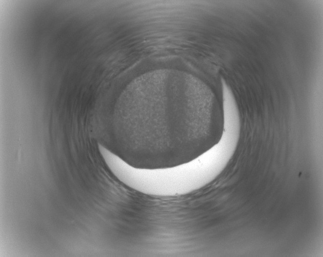 X0000065261202200603172221