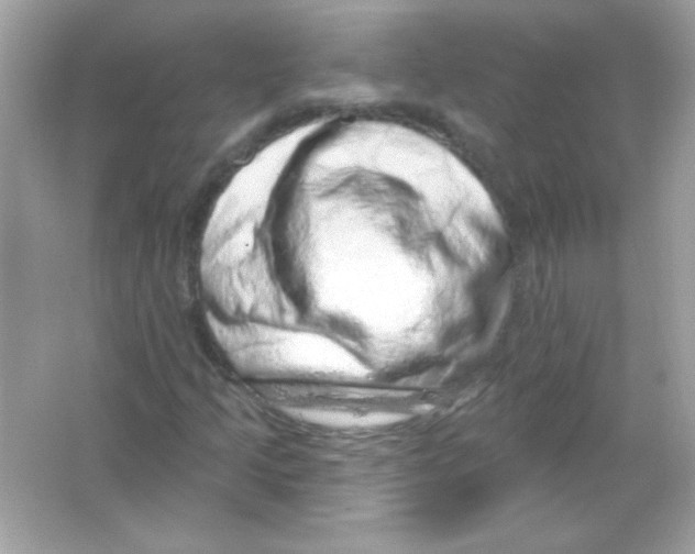 X0000065261205200603172221