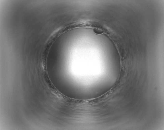 X0000065261206200603172221