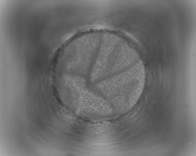 X0000065261207200603172221