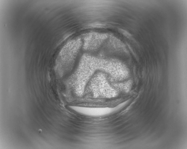 X0000065261209200603172221