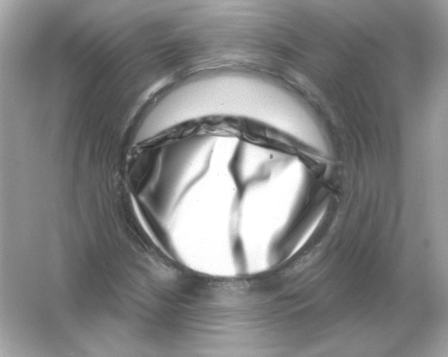 X0000065261210200603172221