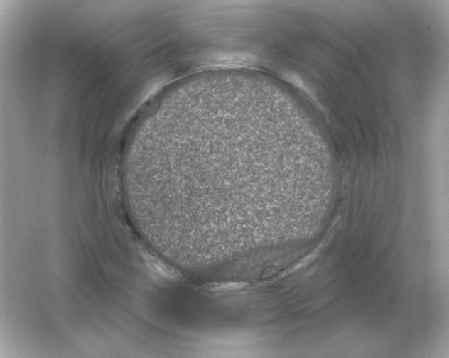 X0000065261211200603172221