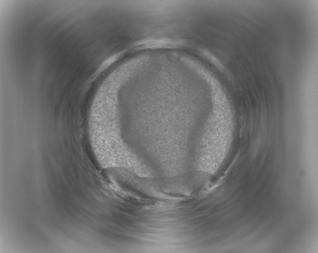 X0000065261213200603172221