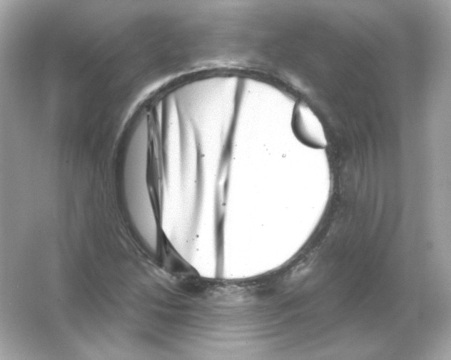 X0000065261214200603172221