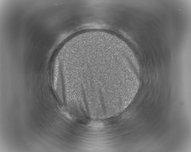 X0000065261215200603172221