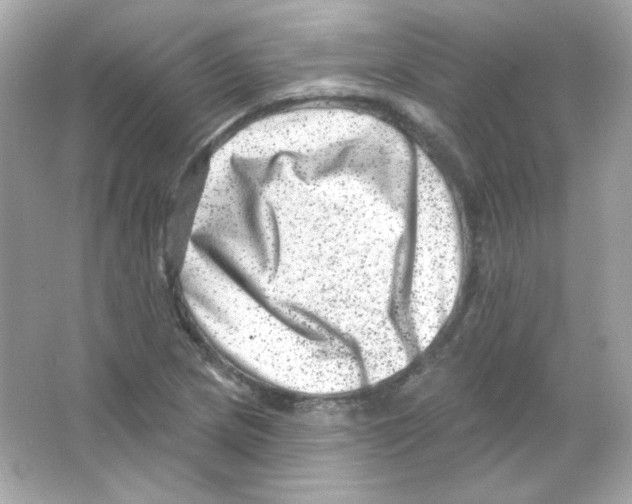 X0000065261217200603172221