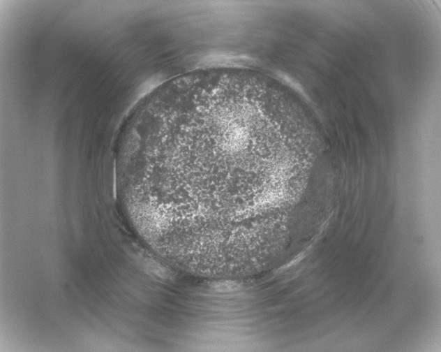 X0000065261219200603172221