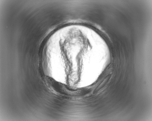 X0000065261221200603172222