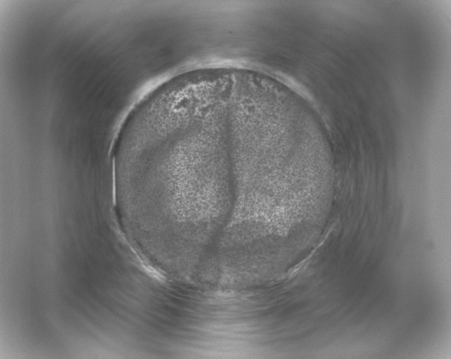 X0000065261223200603172222