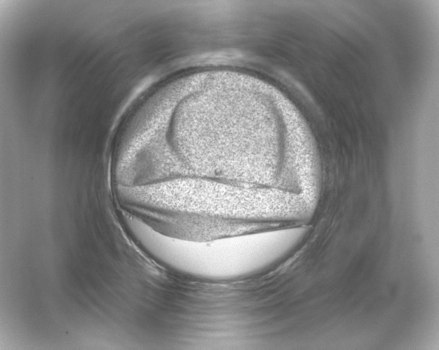 X0000065261224200603172222