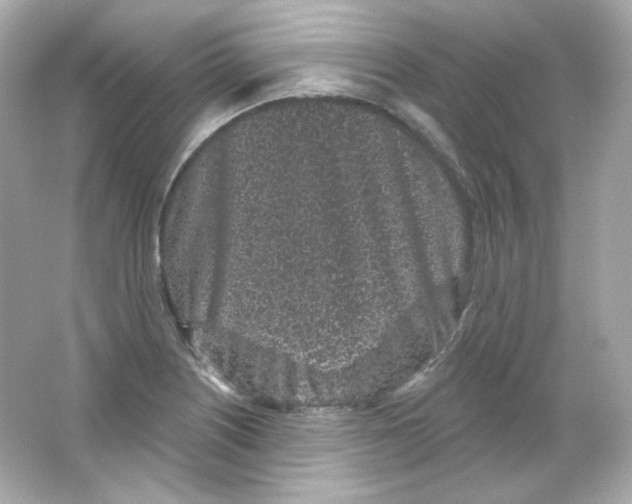 X0000065261226200603172222