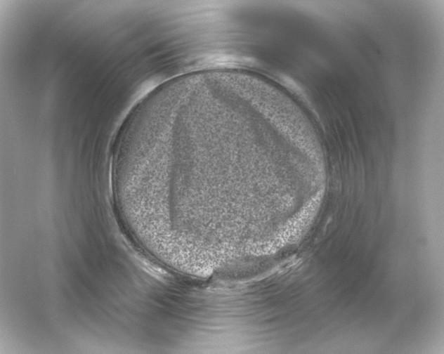 X0000065261227200603172222