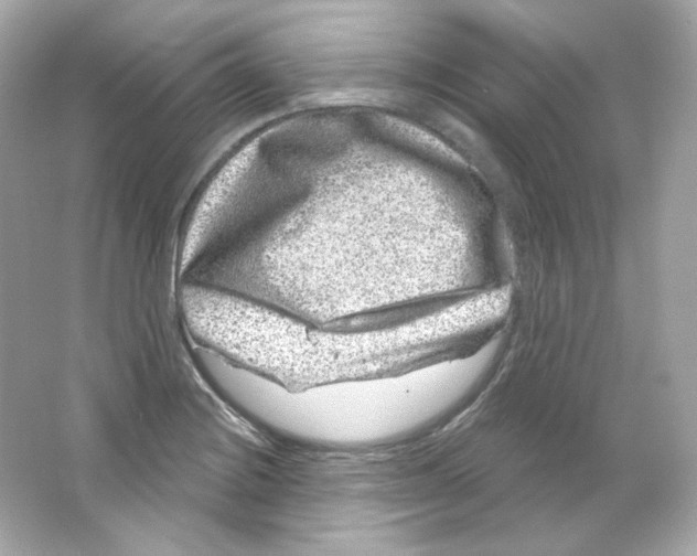 X0000065261228200603172222