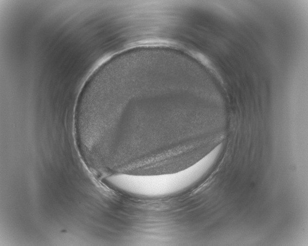 X0000065261229200603172222