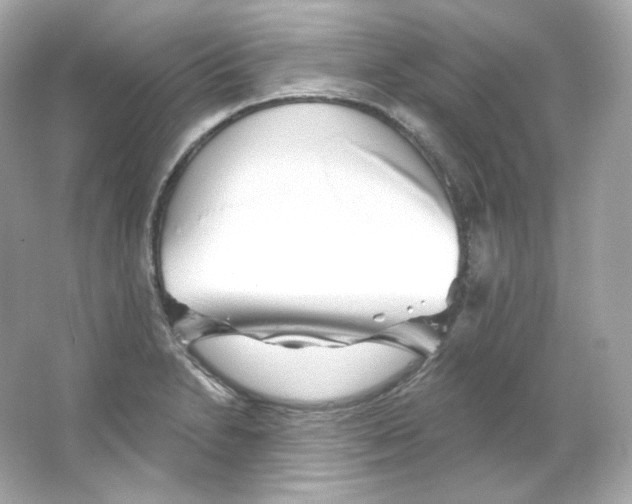 X0000065261230200603172222