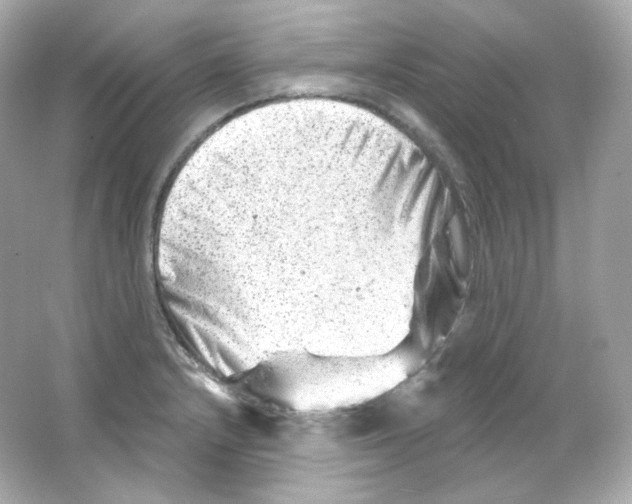 X0000065261232200603172222