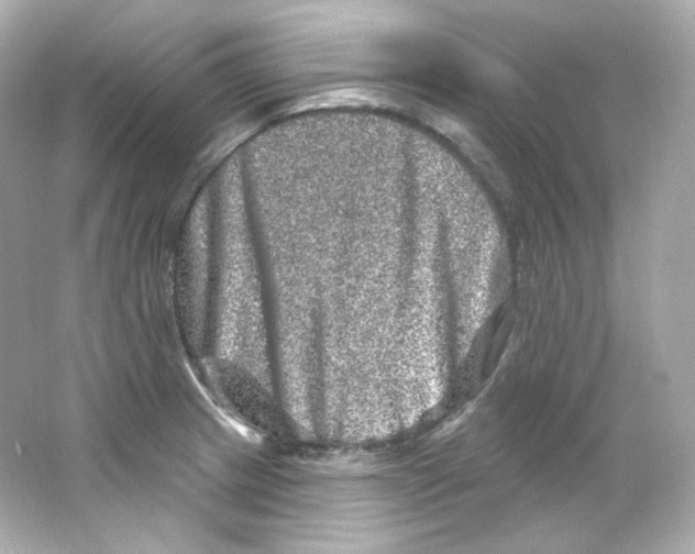 X0000065261233200603172222