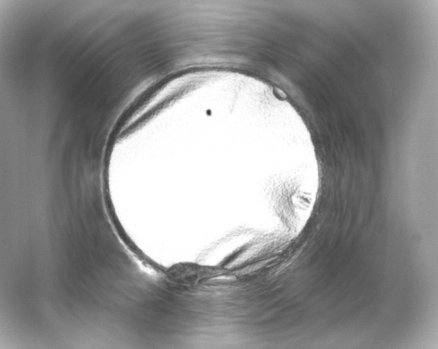 X0000065261237200603172222