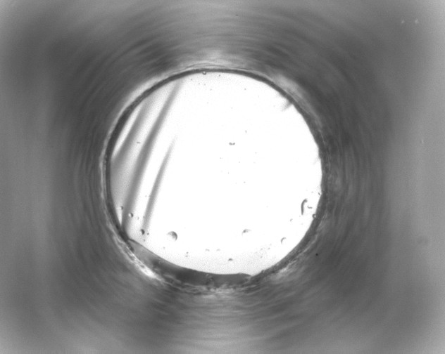 X0000065261238200603172222