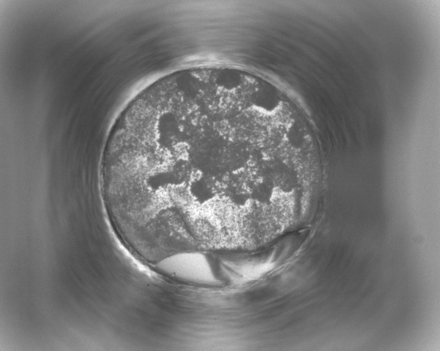 X0000065261239200603172222