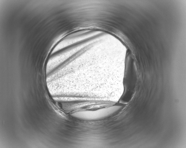 X0000065261242200603172222