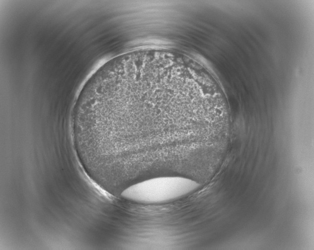 X0000065261243200603172222