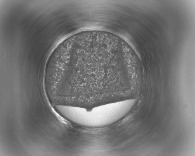 X0000065261245200603172222