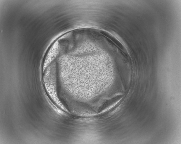 X0000065261246200603172222