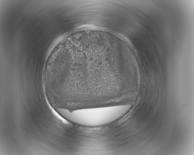 X0000065261247200603172222