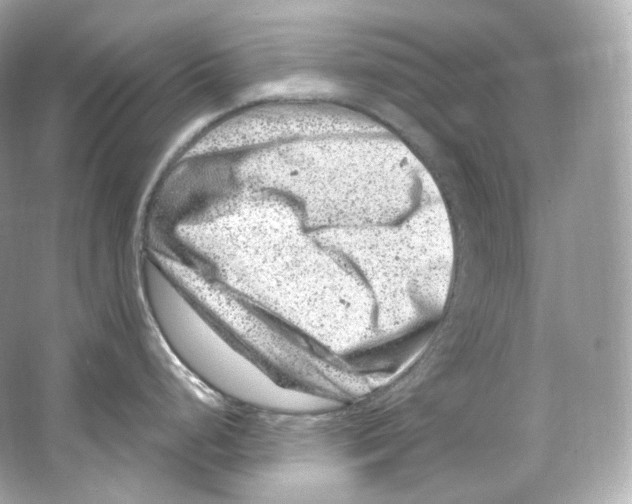 X0000065261248200603172222