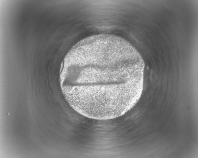 X0000065261249200603172221