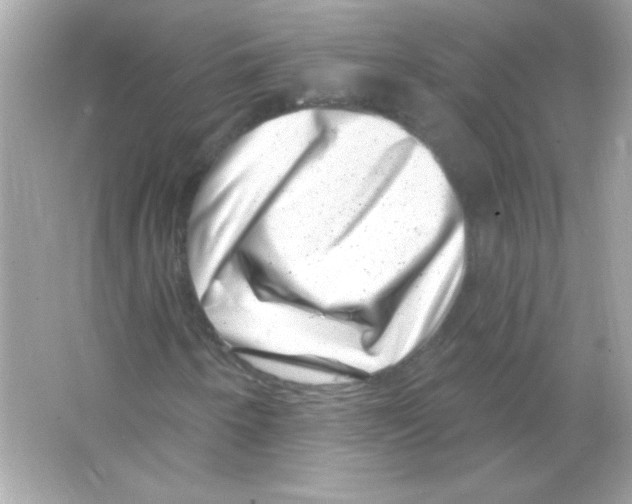 X0000065261250200603172221