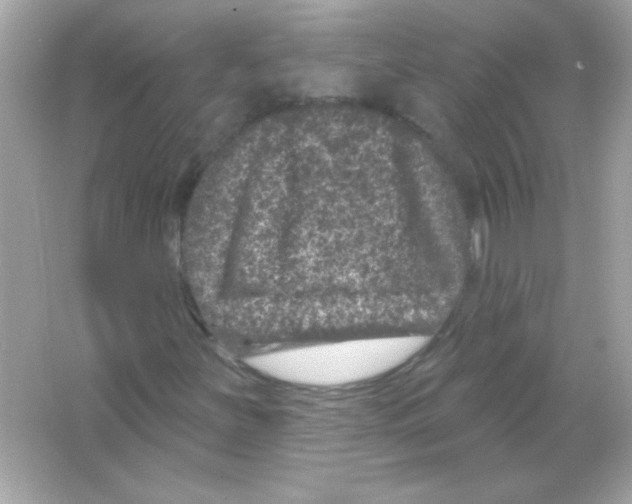 X0000065261251200603172221