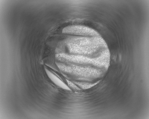 X0000065261252200603172221