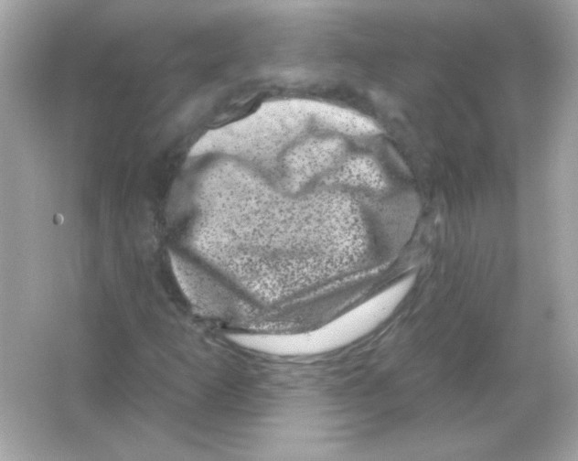 X0000065261253200603172221