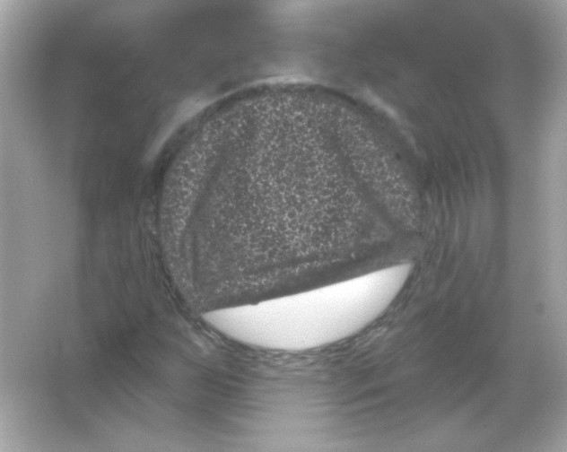 X0000065261255200603172221