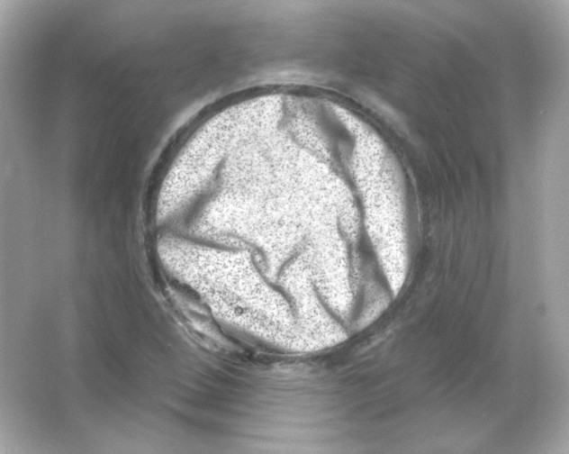 X0000065261264200603172221