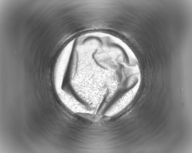 X0000065261265200603172221