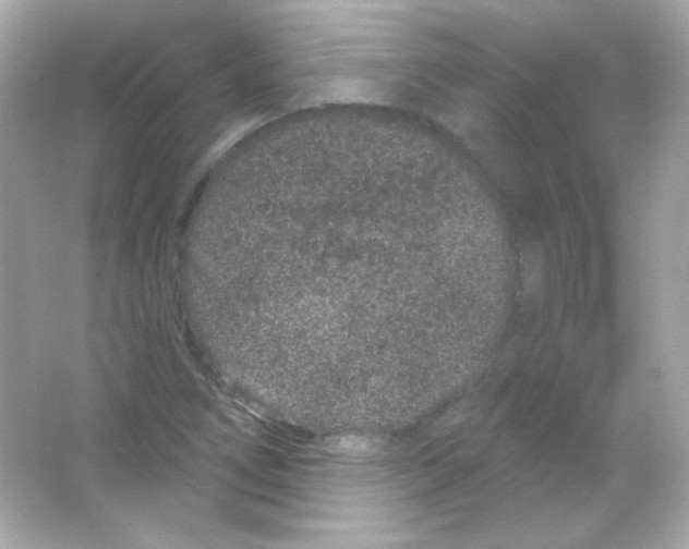 X0000065261266200603172221