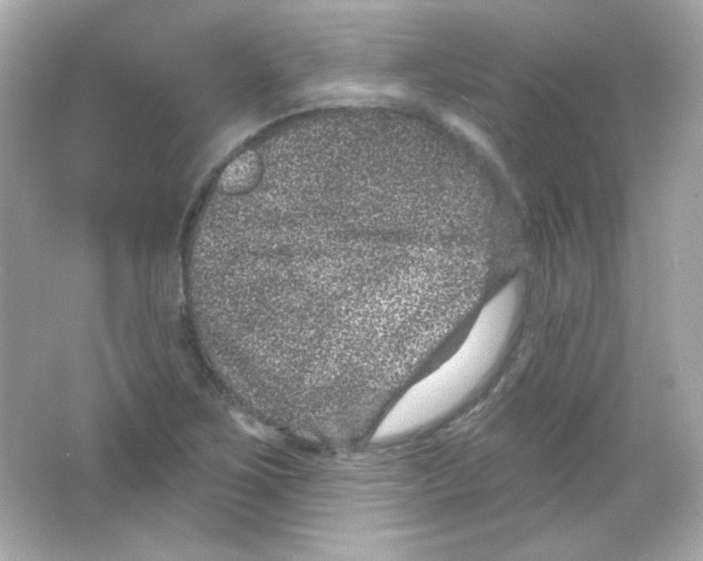 X0000065261267200603172221