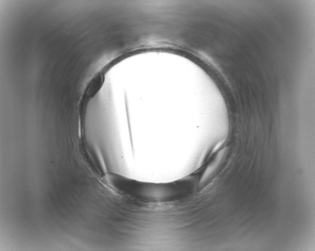 X0000065261269200603172221